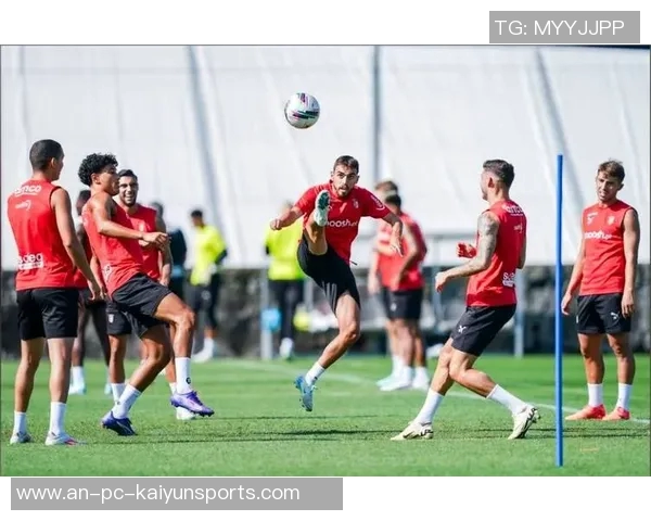 葡超焦点战布拉加迎战艾维斯争夺积分榜重要位置